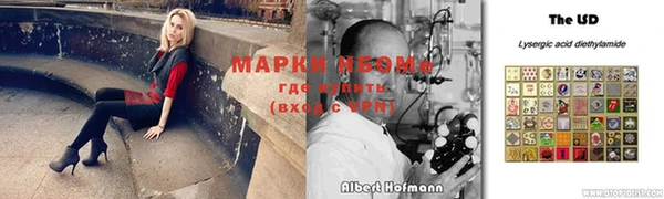 кокс Инсар