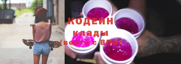 кокс Инсар
