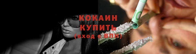 кокс Инсар
