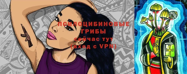 прущие крисы Инта