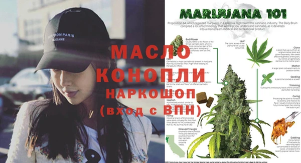 прущие крисы Инта