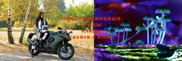 кокс Инсар