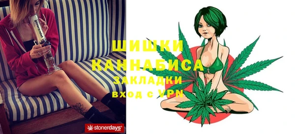 кокс Инсар
