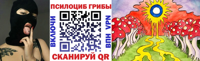 Купить  Гремячинск  Псилоцибиновые грибы Magic Shrooms 